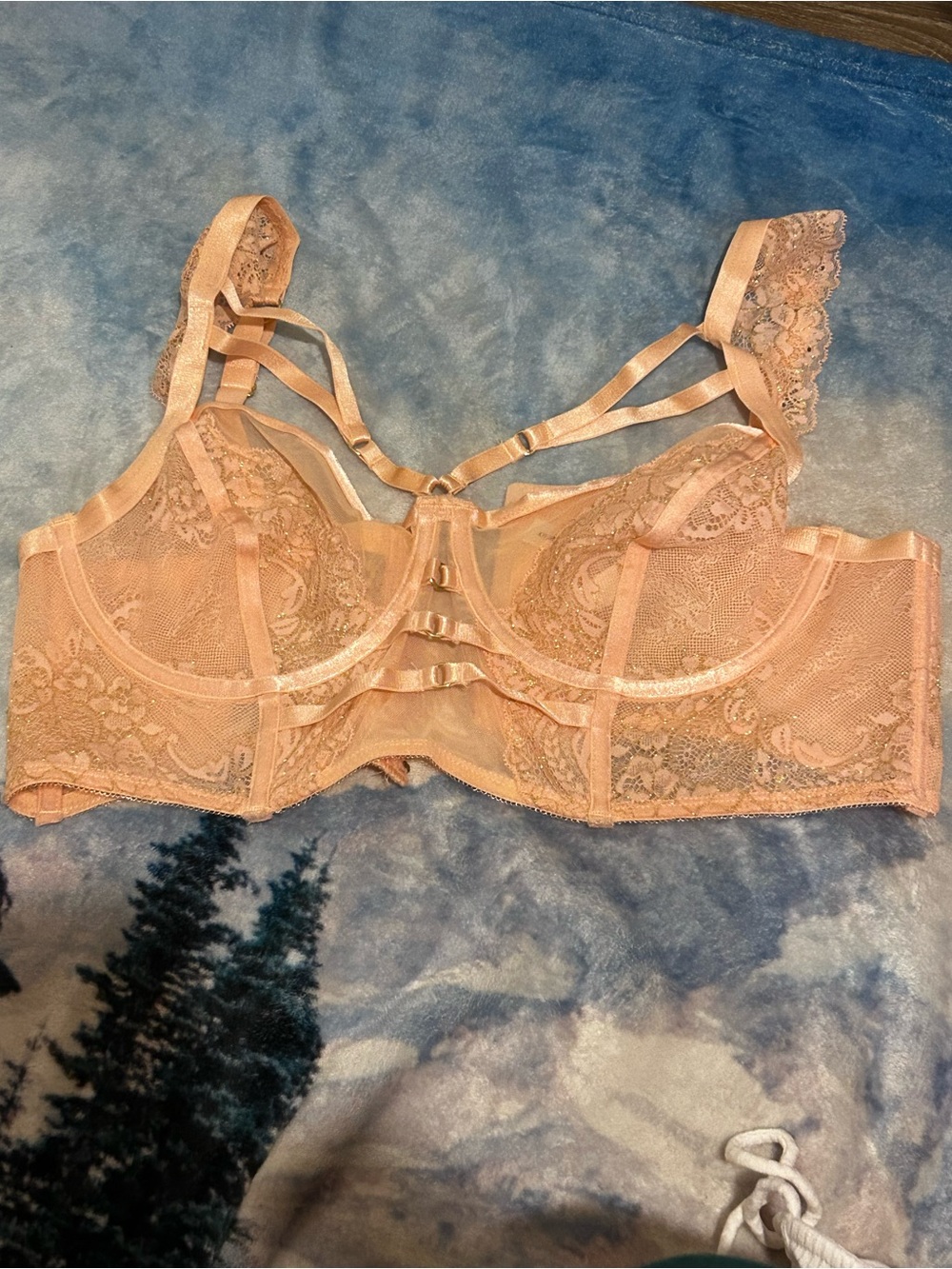 Torrid 0 underwire corset